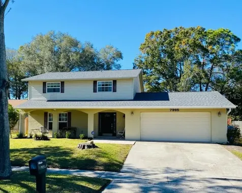 7905 Greenshire Drive Tampa FL 33634