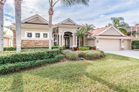 3919 Sorrel Vine Drive Wesley Chapel FL 33544