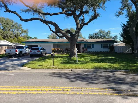 13317 N Rome Avenue Tampa FL 33612