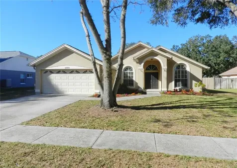 9509 Glenpointe Drive Riverview FL 33569