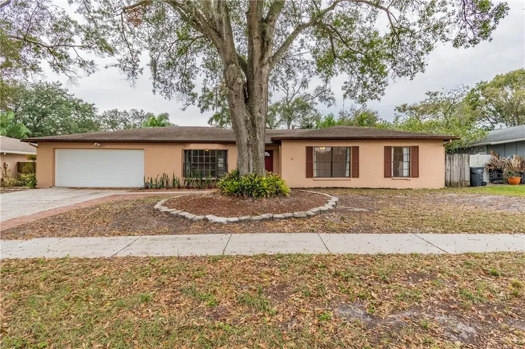 13346 Moran Drive Tampa FL 33618