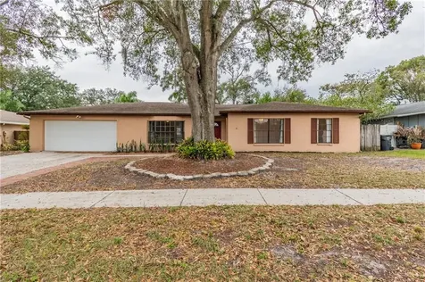 13346 Moran Drive Tampa FL 33618