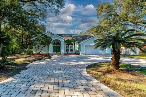 31623 6th Street Sorrento FL 32776