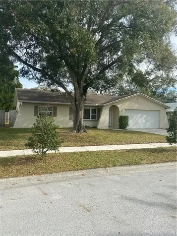 1511 Beechwood Court Dunedin FL 34698