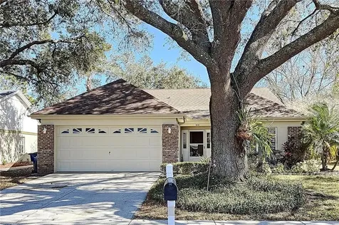 1614 Cobbler Drive Lutz FL 33559