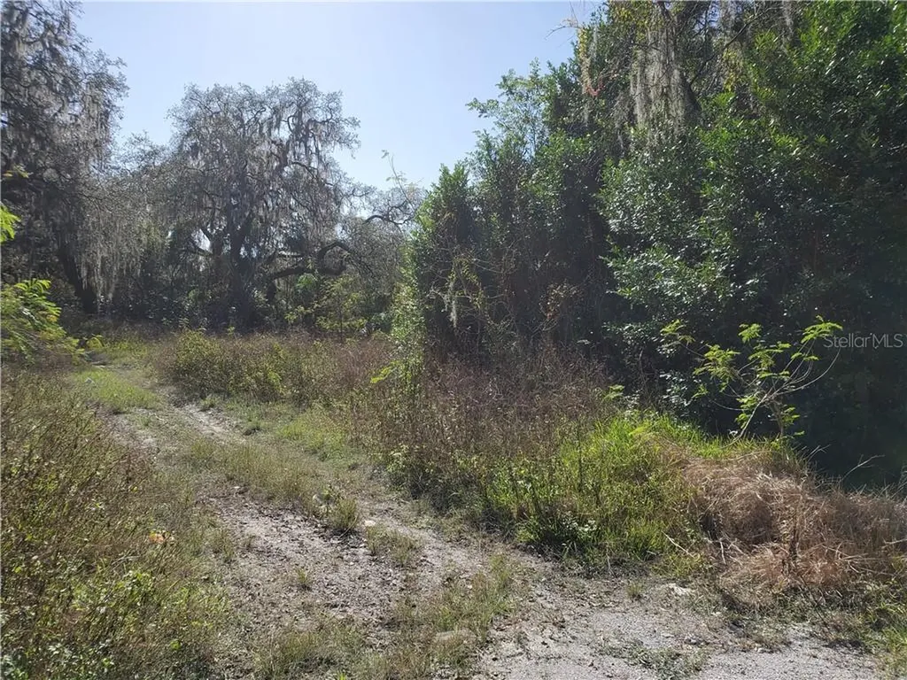 7601 Barry Road Tampa FL 33615