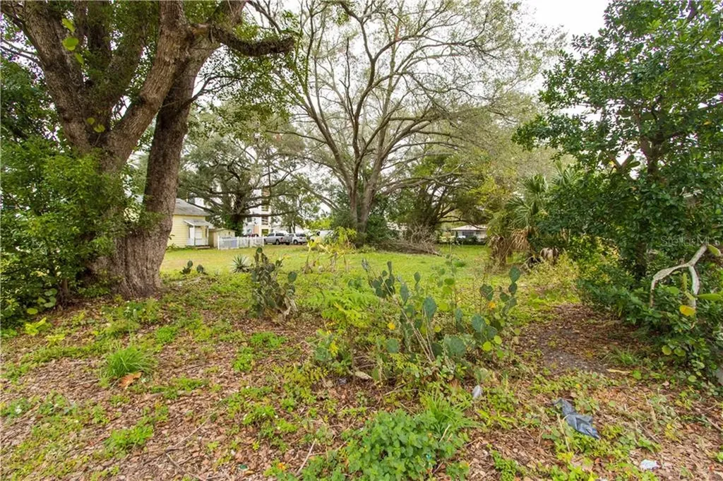 613 N Stella Avenue Lakeland FL 33801