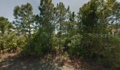 1450 Hepner Street SE Palm Bay FL 32909
