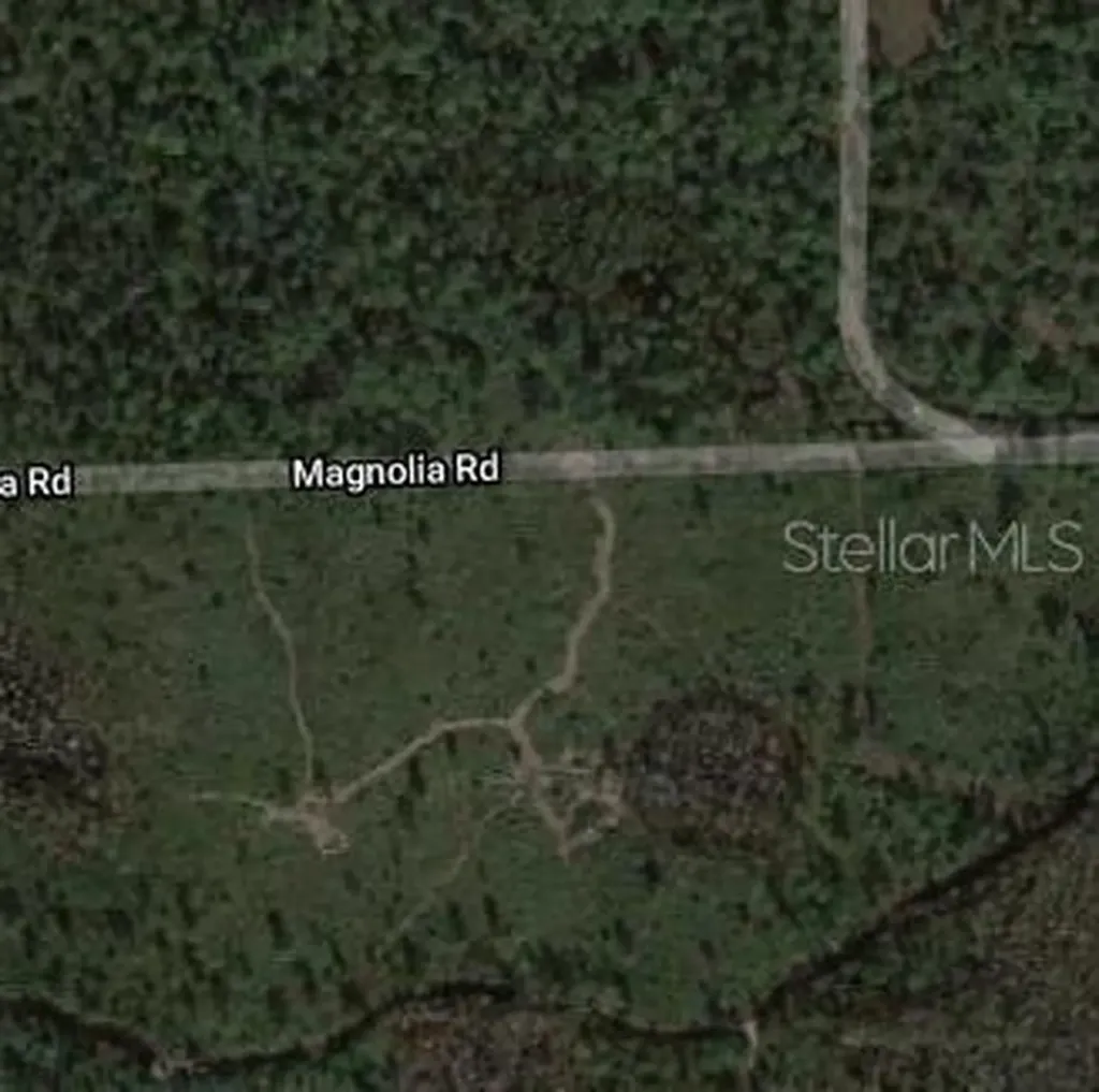 Magnolia Road New Smyrna Beach FL 32168
