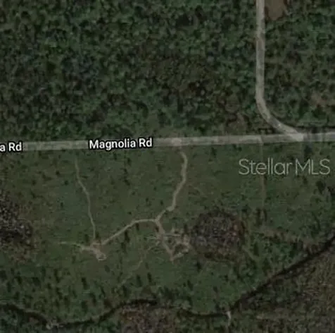 Magnolia Road New Smyrna Beach FL 32168