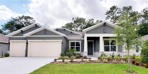 493 Nowell Loop Deland FL 32724