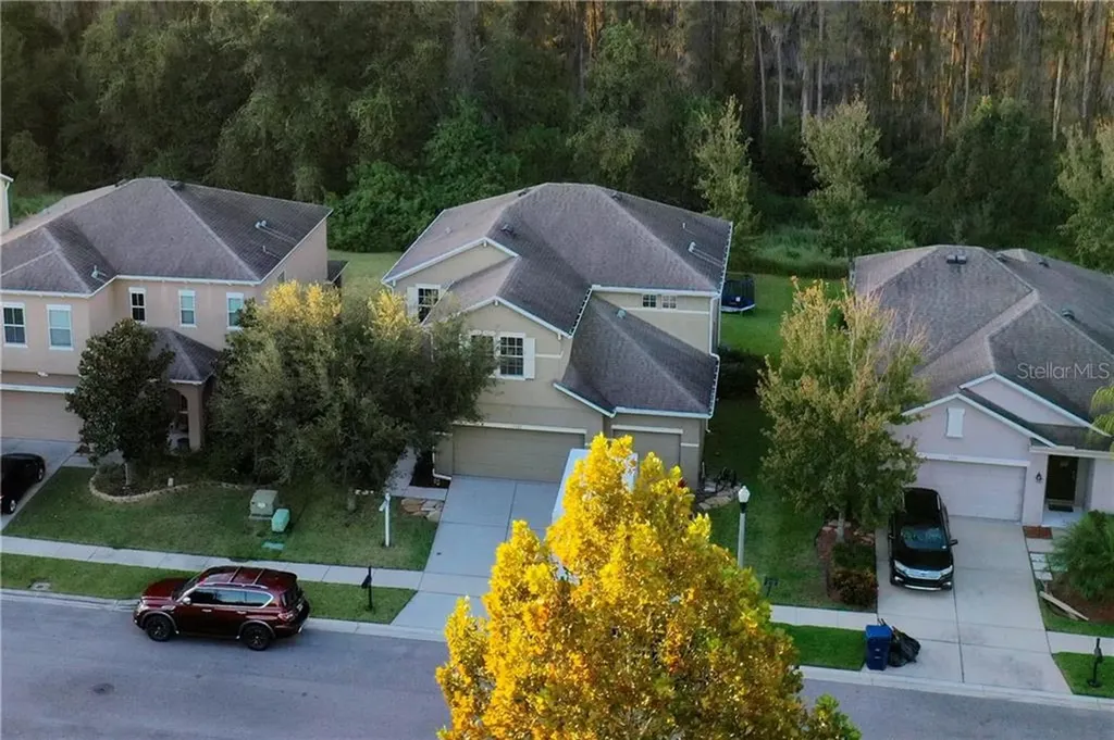5329 Shasta Daisy Place Land O Lakes FL 34639