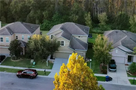 5329 Shasta Daisy Place Land O Lakes FL 34639