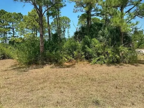 159 Green Pine Park Rotonda West FL 33947