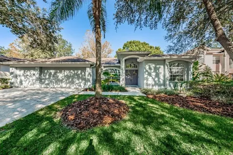 9336 Hampshire Park Drive Tampa FL 33647