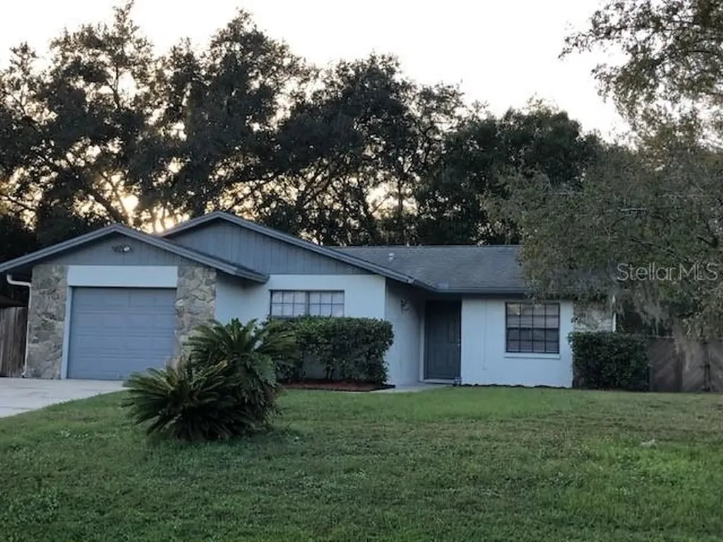 3819 Briarbrook Place Land O Lakes FL 34639