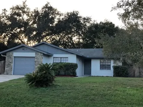 3819 Briarbrook Place Land O Lakes FL 34639