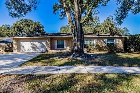 4213 Woodlark Drive Tampa FL 33624