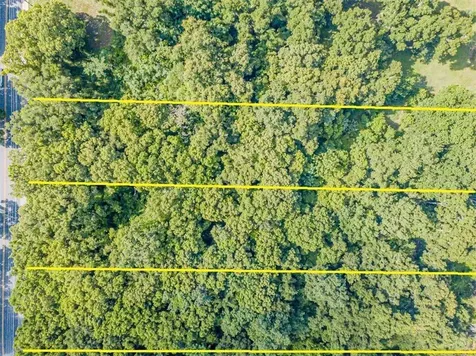1220 Schopke Lester Road Apopka FL 32712