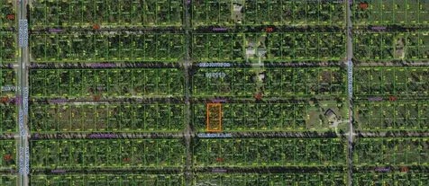 Calendula Drive Indian Lake Estates FL 33855
