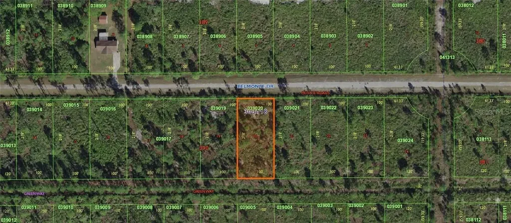 Belmonte Drive Indian Lake Estates FL 33855