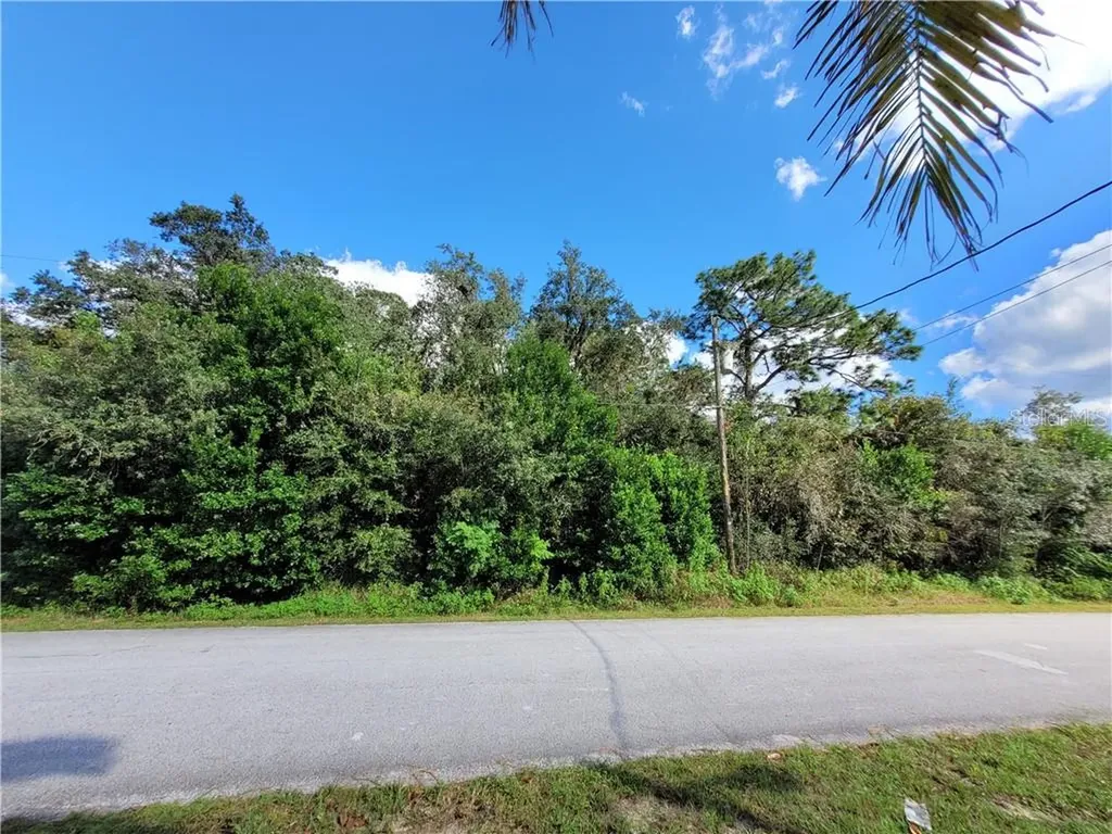 1214 Channing Avenue Spring Hill FL 34608