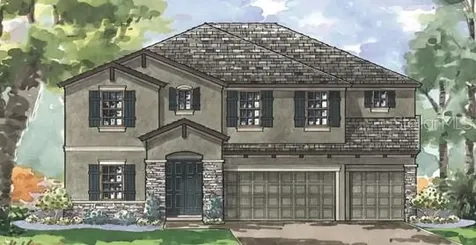 22091 Woodshadow Way Land O Lakes FL 34637