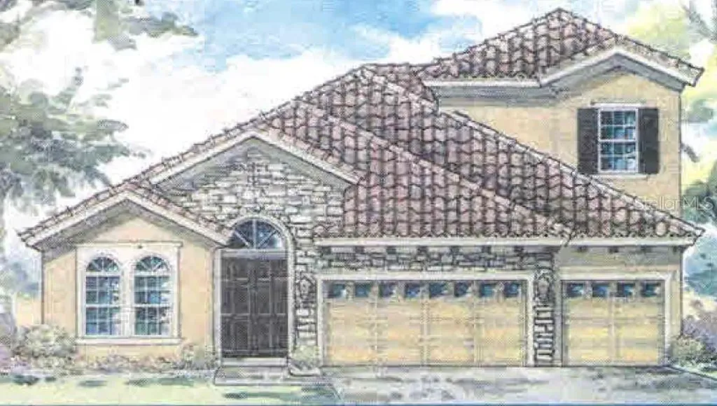 11238 Hawks Fern Drive Riverview FL 33569