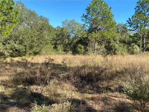 15785 SE 112th Lane Ocklawaha FL 32179