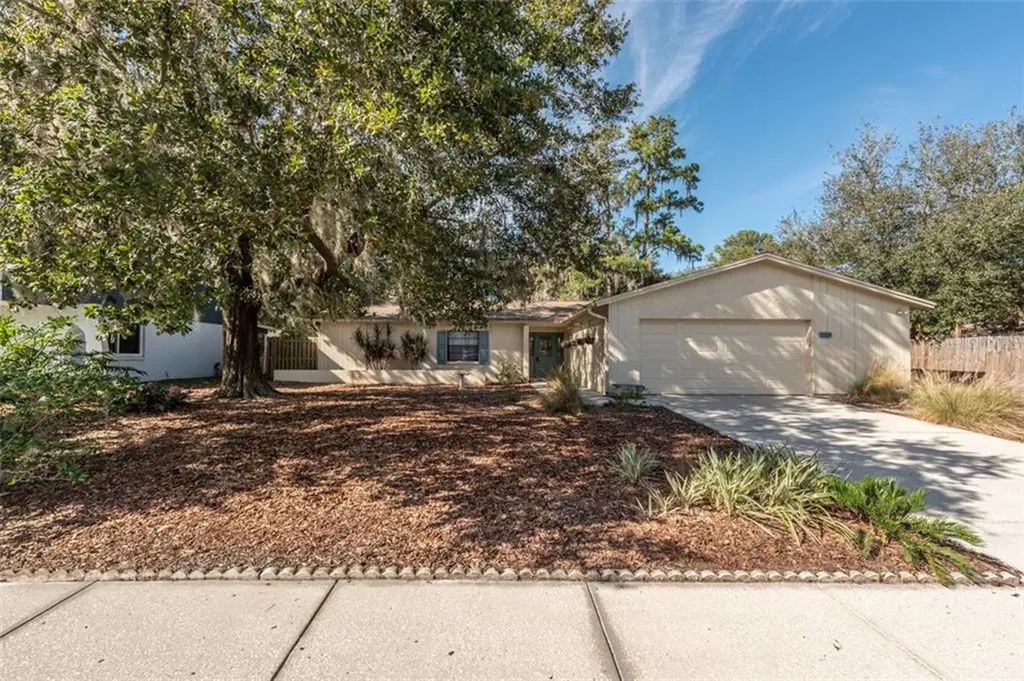 3709 Greenford Street Valrico FL 33596