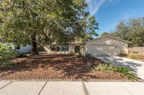 3709 Greenford Street Valrico FL 33596