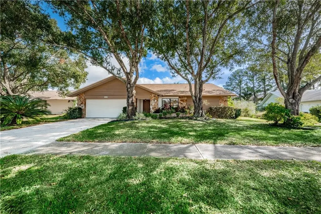3639 Hollow Trail Court Palm Harbor FL 34684