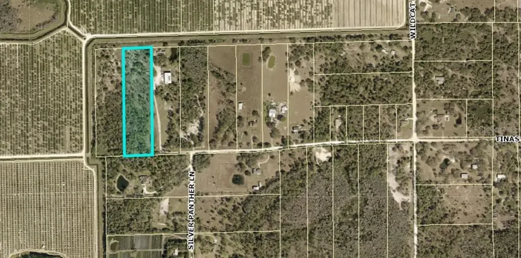 22575 Tinas Lane Fort Myers FL 33913