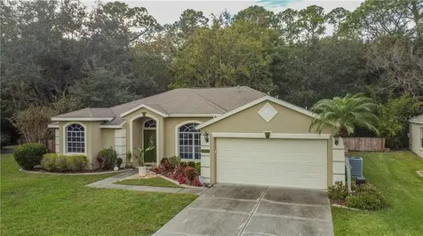 8518 Poydras Lane Tampa FL 33635