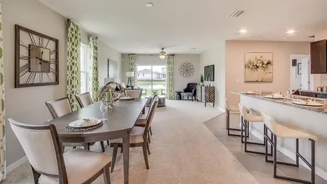 636 Olive Conch Street Ruskin FL 33570