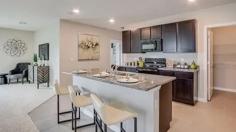636 Olive Conch Street Ruskin FL 33570