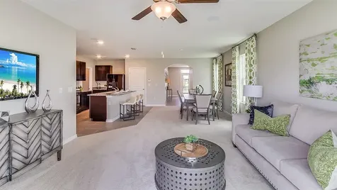 636 Olive Conch Street Ruskin FL 33570