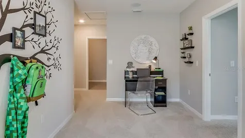 636 Olive Conch Street Ruskin FL 33570