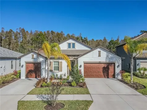 1738 Whitewillow Drive Wesley Chapel FL 33543