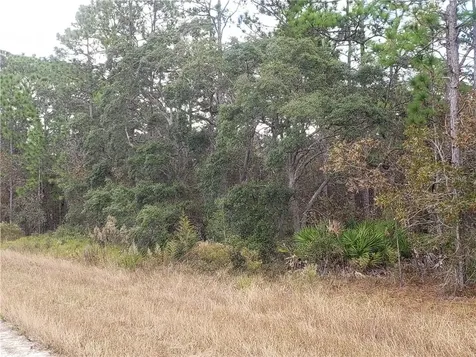 15406 Magnolia Warbler Road Weeki Wachee FL 34614