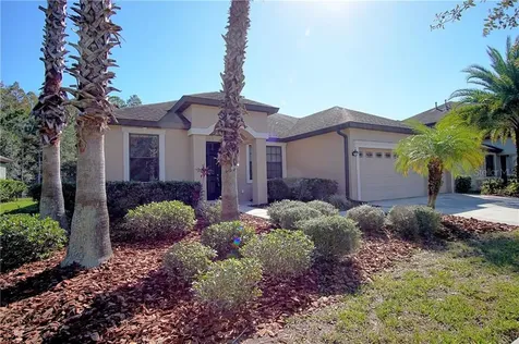 7905 Hampton Lake Drive Tampa FL 33647