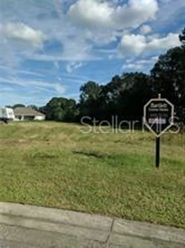 10928 Brooksnest Court Lithia FL 33547