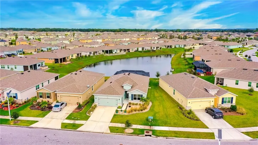 31479 Tansy Bend Wesley Chapel FL 33545