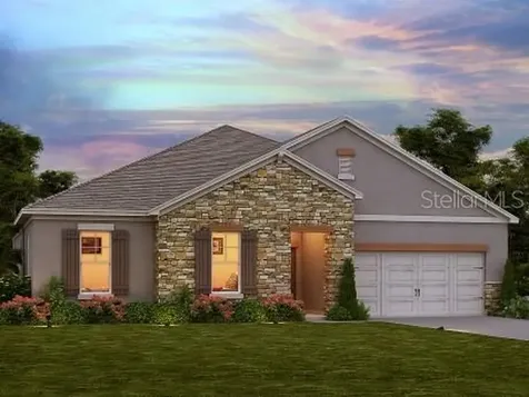 30313 Five Farms Avenue Wesley Chapel FL 33543