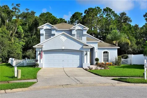 6411 Open Pasture Court Wesley Chapel FL 33545