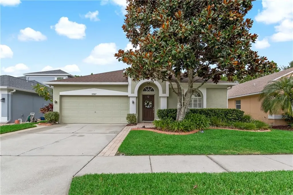 12507 Blazing Star Drive Tampa FL 33626