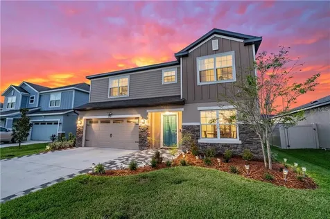 31147 Parrot Reef Court Wesley Chapel FL 33545