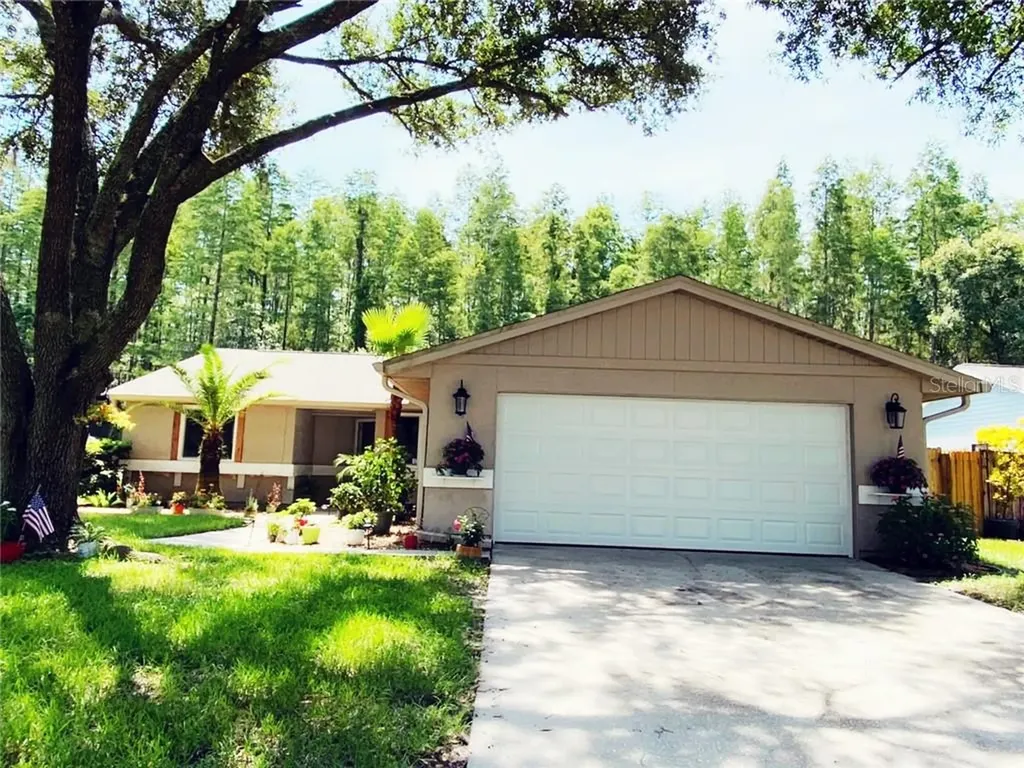 5340 Black Pine Drive Tampa FL 33624