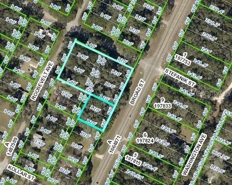 0 Broad Street Brooksville FL 34604