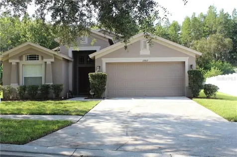 19917 Ellendale Drive Land O Lakes FL 34638